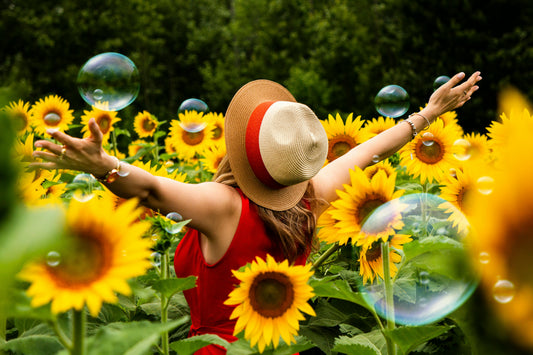 The Art of the Everyday: Simple Habits for a More Fulfilling Life